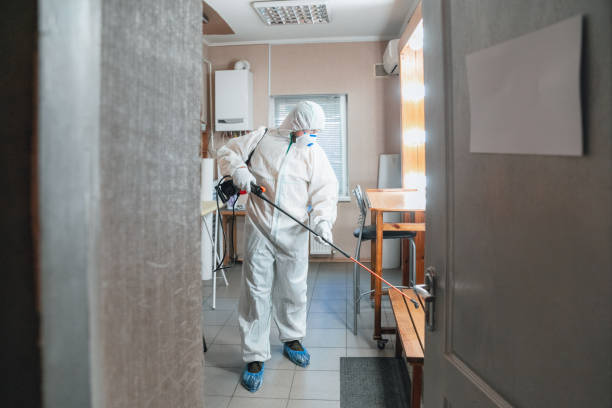 Reliable Duenweg, MO Mold Removal Solutions